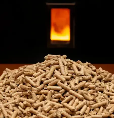 bois de chauffage à Bain-de-Bretagne - image 3