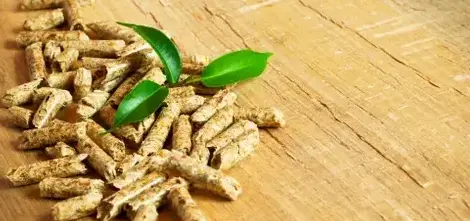 bois de chauffage Bain-de-Bretagne-5