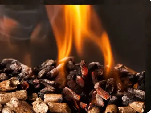 bois de chauffage à Cesson-Sévigné - image 4