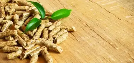 bois de chauffage Dinan-1