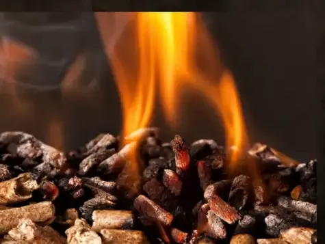 bois de chauffage à Dinan - image 3