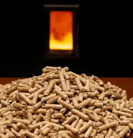 bois de chauffage à Dinan - image 4