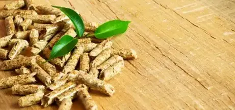 bois de chauffage à Dinard - image 3