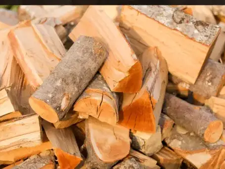 bois de chauffage Dinard-5