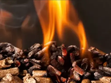 bois de chauffage à Fougères - image 3