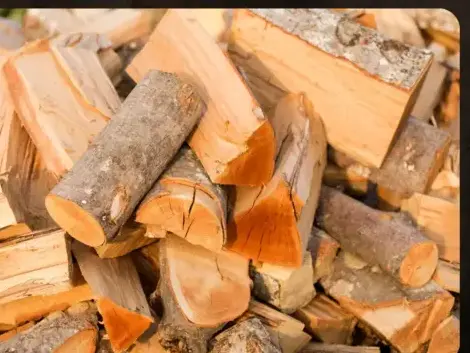 bois de chauffage à Fougères - image 4