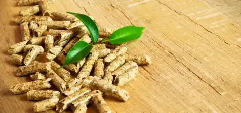 bois de chauffage à Janzé - image 3