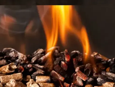 bois de chauffage à Janzé - image 4