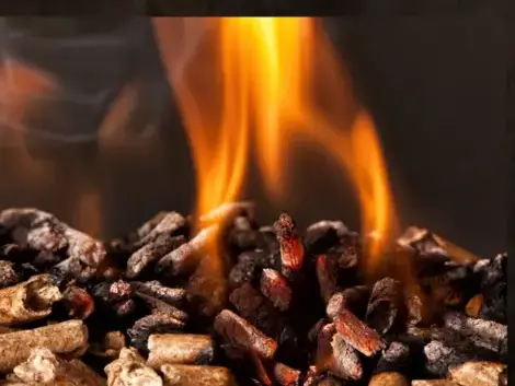 bois de chauffage Rennes-1