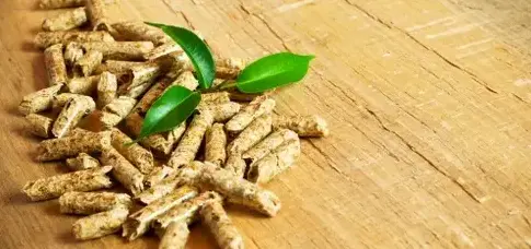 bois de chauffage à Rennes - image 2