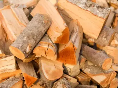 bois de chauffage à Rennes - image 3