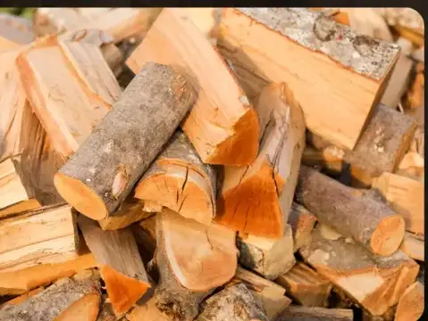 bois de chauffage à Saint-Malo - image 2