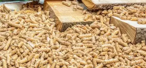 bois de chauffage Saint-Malo-5