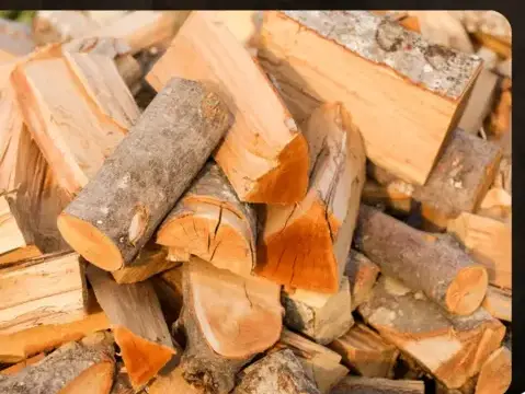 bûches de bois de chauffage livraison à Bain-de-Bretagne - image 2