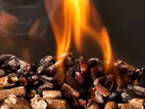 bûches de bois de chauffage livraison Bain-de-Bretagne-5