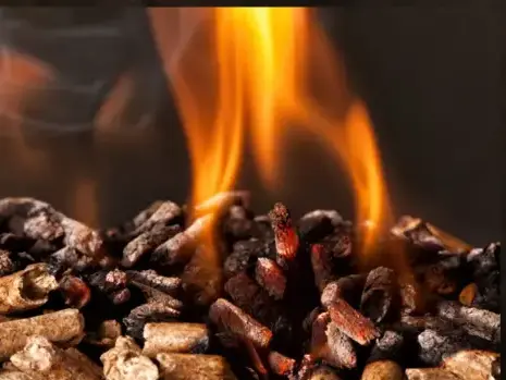 bûches de bois de chauffage livraison Cesson-Sévigné-1