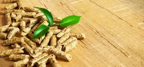 bûches de bois de chauffage livraison Cesson-Sévigné-5