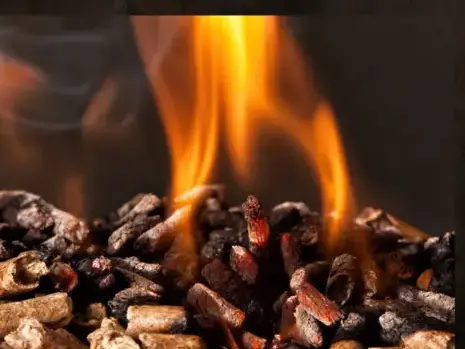 bûches de bois de chauffage livraison Châteaubourg-5