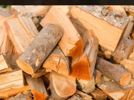 bûches de bois de chauffage livraison Dinan-1