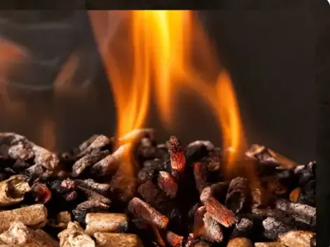 bûches de bois de chauffage livraison à Dinan - image 2