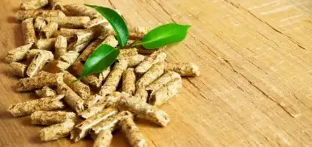 bûches de bois de chauffage livraison à Dinan - image 3