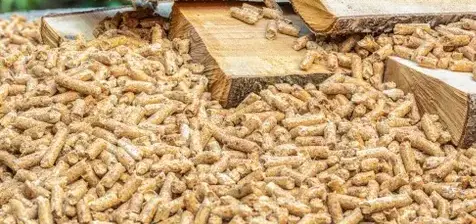 bûches de bois de chauffage livraison à Dinan - image 4