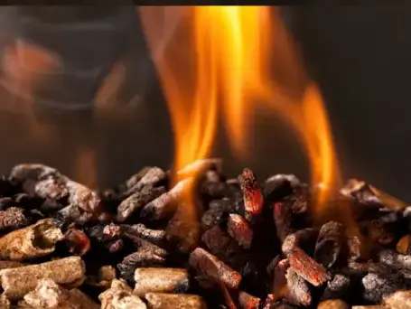 bûches de bois de chauffage livraison à Dinard - image 2