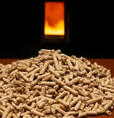 bûches de bois de chauffage livraison à Dinard - image 4