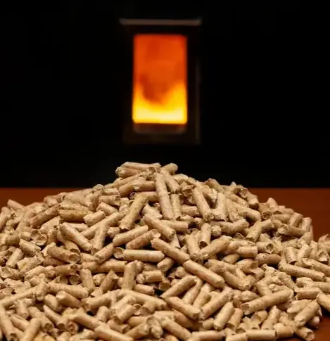 bûches de bois de chauffage livraison Fougères-1