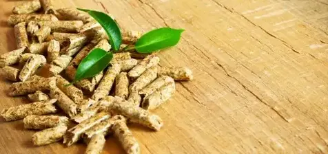 bûches de bois de chauffage livraison à Fougères - image 2