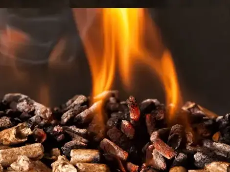 bûches de bois de chauffage livraison Fougères-5