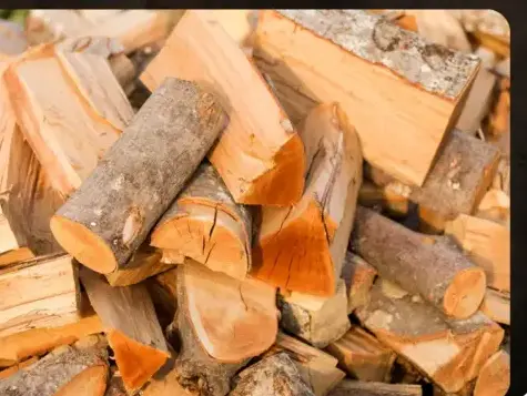 bûches de bois de chauffage livraison à Janzé - image 4