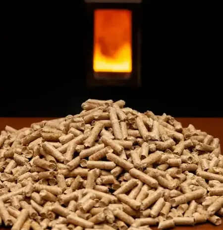 bûches de bois de chauffage livraison Rennes-1