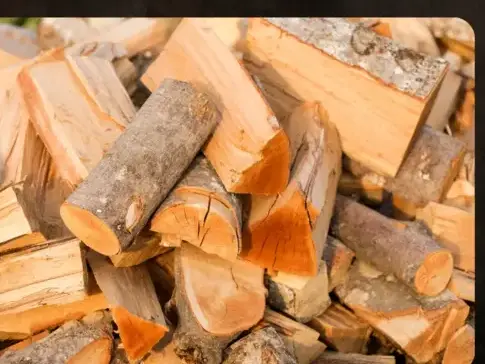 bûches de bois de chauffage livraison à Rennes - image 2