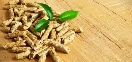 bûches de bois de chauffage livraison à Rennes - image 3