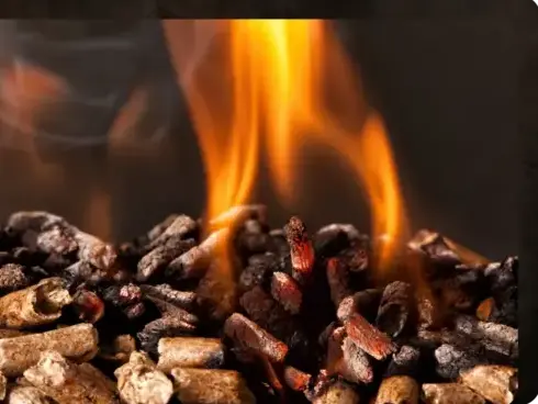 bûches de bois de chauffage livraison à Rennes - image 4