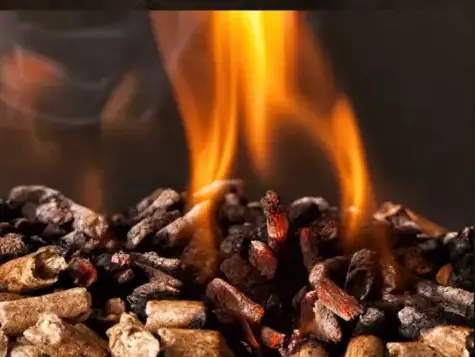 bûches de bois de chauffage livraison Saint-Malo-1