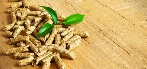 bûches de bois de chauffage livraison à Saint-Malo - image 4