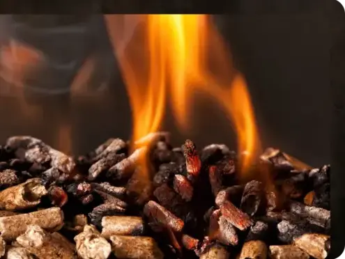 fournisseur de granulés de bois Bain-de-Bretagne-5