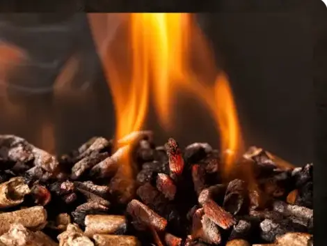 fournisseur de granulés de bois Cesson-Sévigné-1