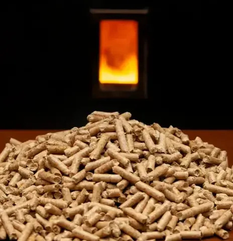 fournisseur de granulés de bois à Cesson-Sévigné - image 2