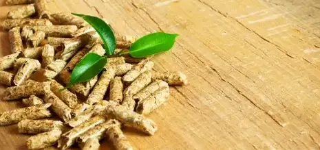 fournisseur de granulés de bois Cesson-Sévigné-5
