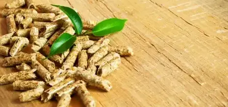 fournisseur de granulés de bois Dinan-1