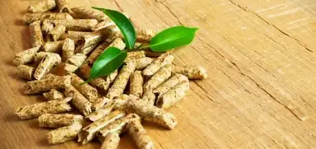 fournisseur de granulés de bois à Fougères - image 3