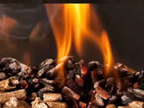 fournisseur de granulés de bois Fougères-5