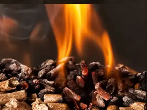 fournisseur de granulés de bois à Janzé - image 4