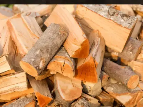 fournisseur de granulés de bois Rennes-1