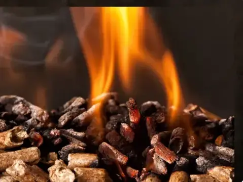 fournisseur de granulés de bois Rennes-5