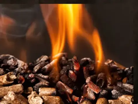 fournisseur de granulés de bois à Saint-Malo - image 3