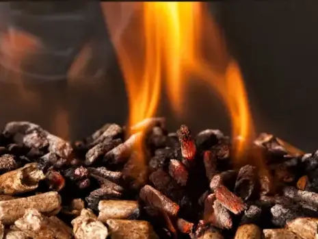 fournisseur de pellets de bois à Cesson-Sévigné - image 2